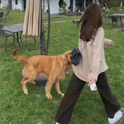 银魂 爱染香篇 前篇
